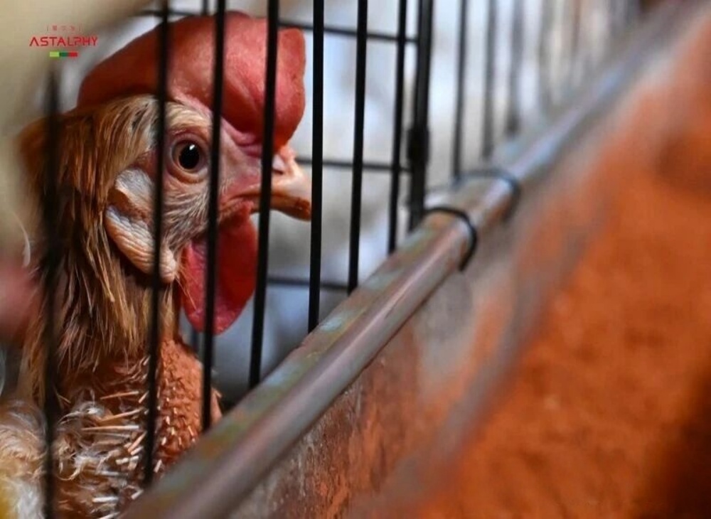 1765159500117511.jpg 微信图片_2025-12-08_094646_672.jpg