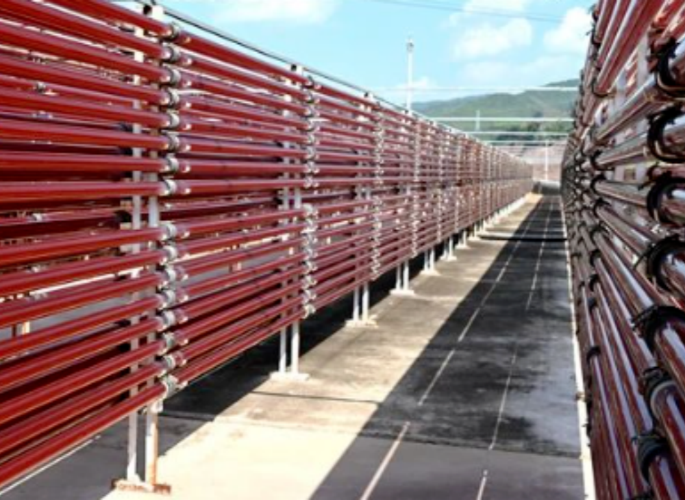 1765159542281686.png 7241.png