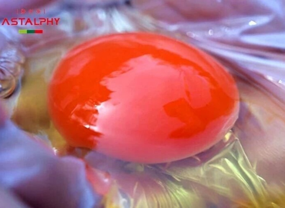 1765159609851771.jpg 微信图片_2025-12-08_094654_765.jpg