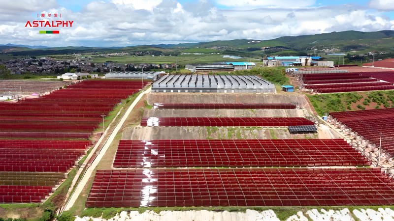 1766971977100608.jpg 微信图片_2025-12-29_092545_500.jpg