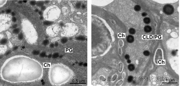 1769652607634331.png 微信图片_2026-01-29_100855_546.png