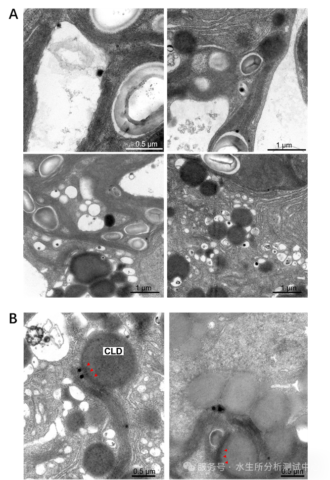 1769652651107136.png 微信图片_2026-01-29_100903_178.png