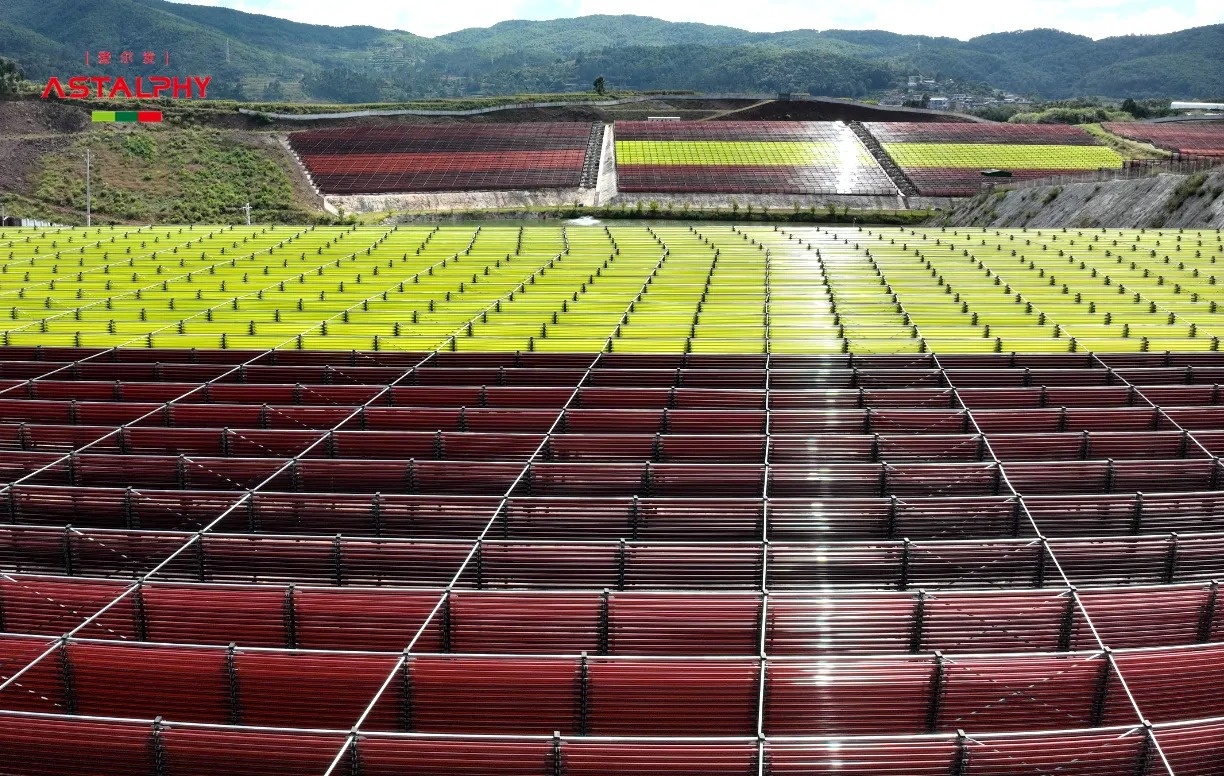 1771989038802026.jpg 01_副本.jpg