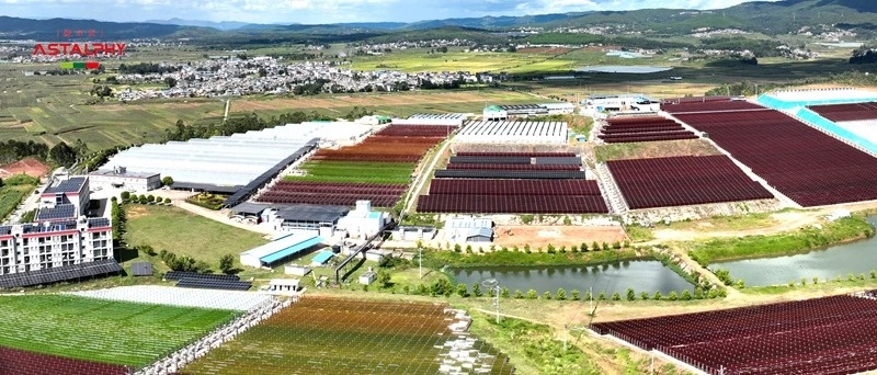 1771989253292185.jpg 02_副本.jpg