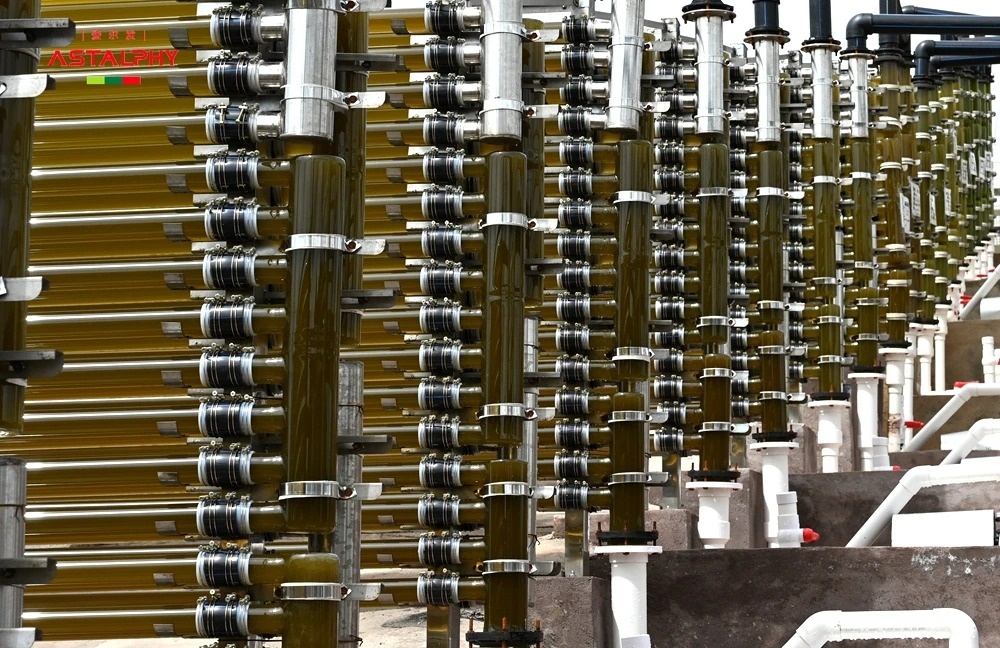 1771989316511088.jpg 03_副本.jpg