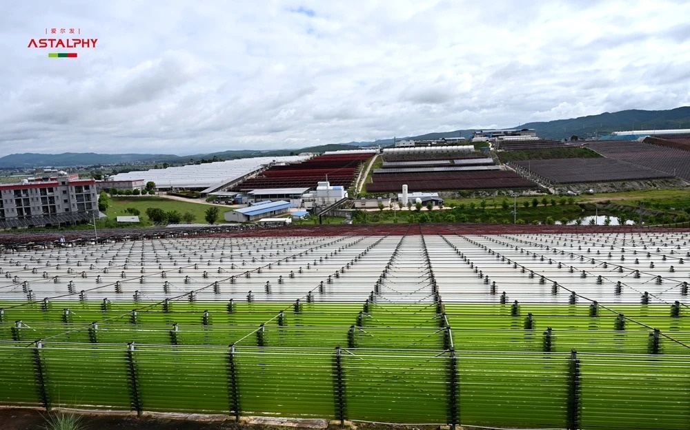 1771989344133196.jpg 4_副本.jpg