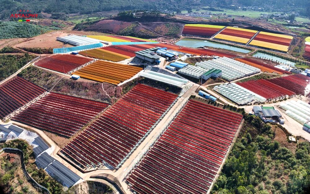 1774247187262493.jpg 微信图片_2026-03-23_142208_538.jpg