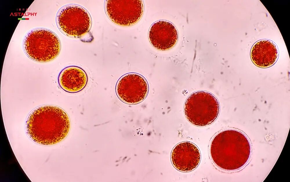 1776146152624821.jpg 微信图片_2026-04-14_134309_021.jpg