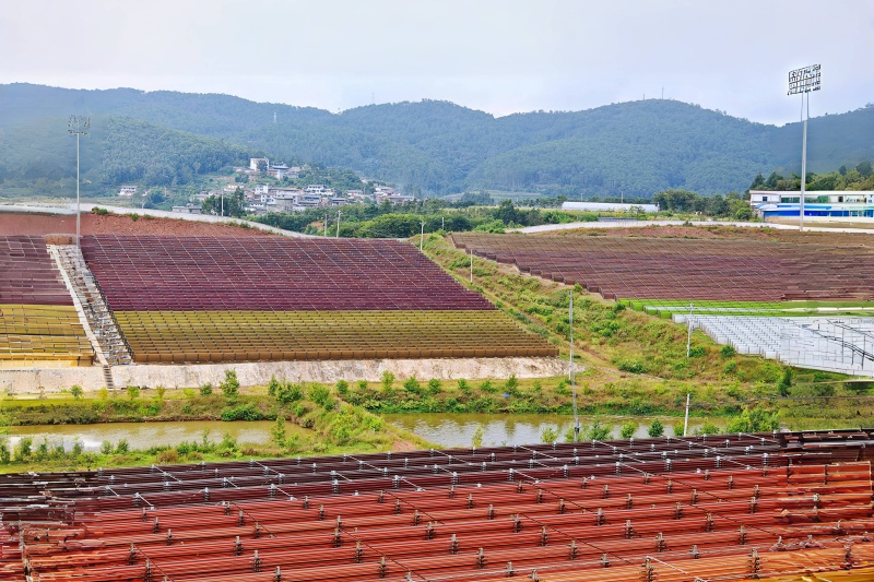 住院率破20%大关，虾青素揭秘 '治未病'的智慧之道