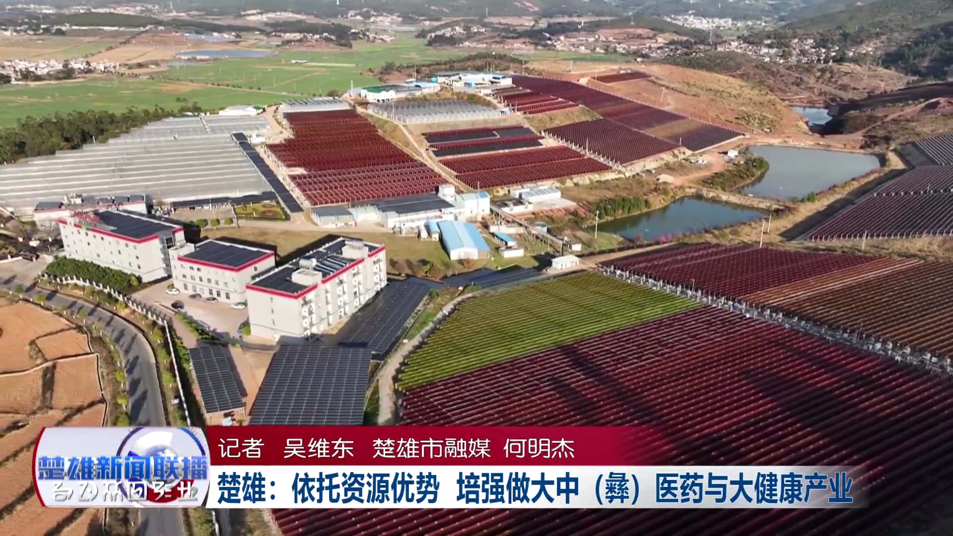 当 “治未病” 遇上生物科技：爱尔发藻源虾青素如何重构现代健康防线？