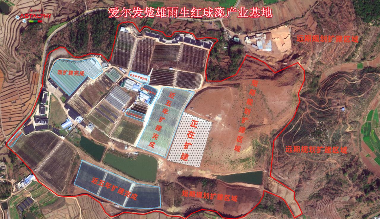 全球最大雨生红球藻基地，我们来了！爱尔发630亩微藻基地再次掀起扩建潮……
