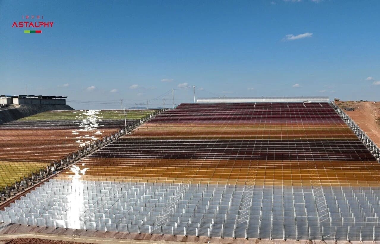 扩建 | 爱尔发楚雄雨生红球藻基地扩 建项目陆续投产