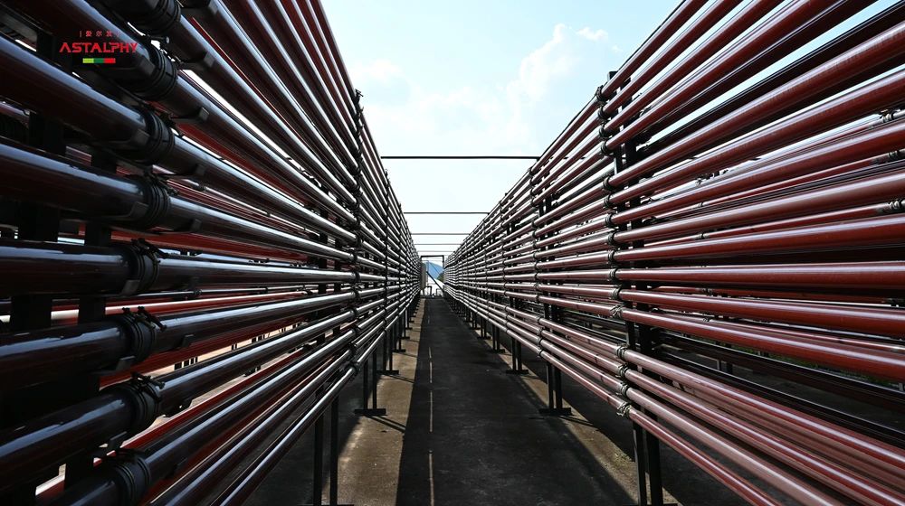 雨生红球藻 ≠ 虾青素