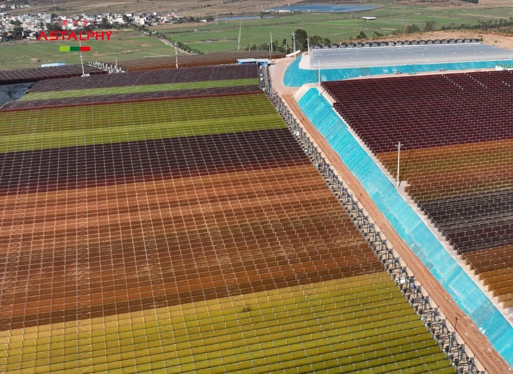 百年口碑加持，爱尔发这款虾青素好物值得闭眼入