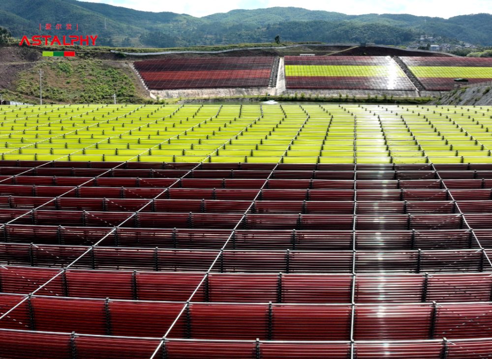 当身体悄悄&ldquo;生锈&rdquo;：从自由基到健康平衡的科学策略