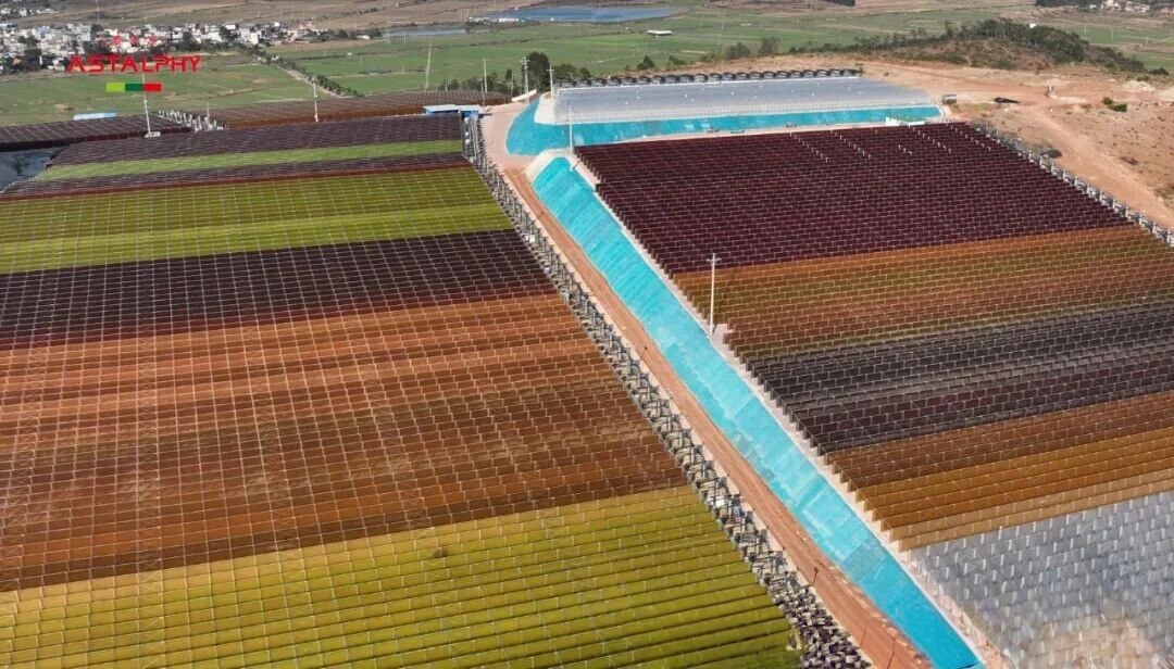 很多人都理解错了！虾青素的核心价值 根本不是对抗衰老！