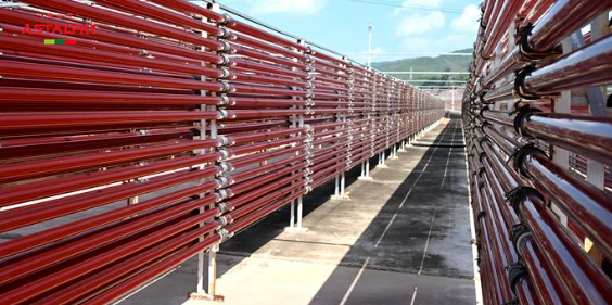 为什么抗衰绕不开虾青素？答案都在这