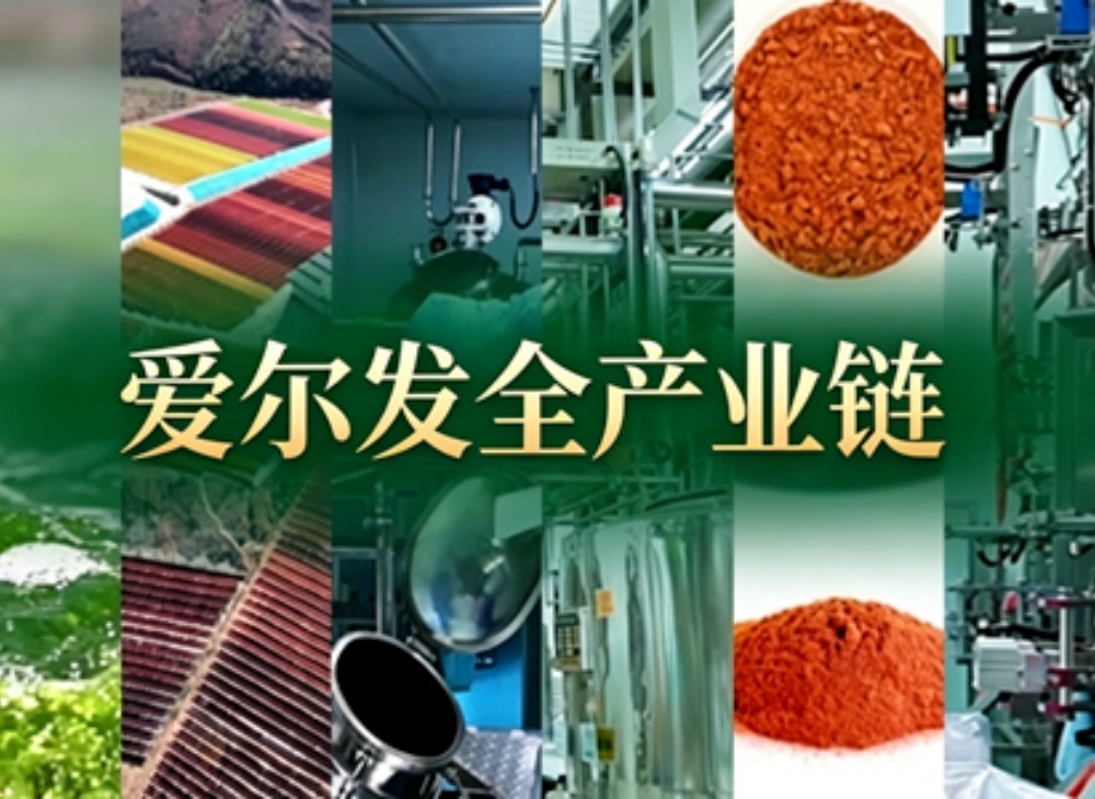 从&ldquo;看标签&rdquo;到&ldquo;看源头&rdquo;：中国自己，拥有世界级的藻源虾青素产业