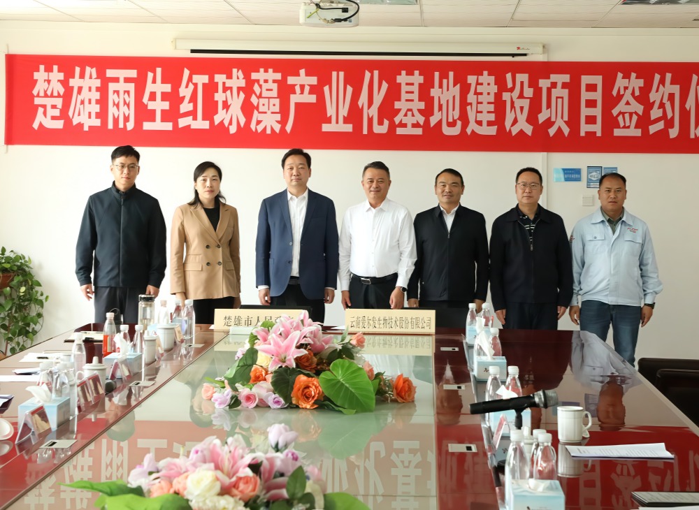 政企携手谱新篇 | 楚雄市人民政府与云南爱尔发成功签约楚雄雨生红球藻 产业化基地建设项目