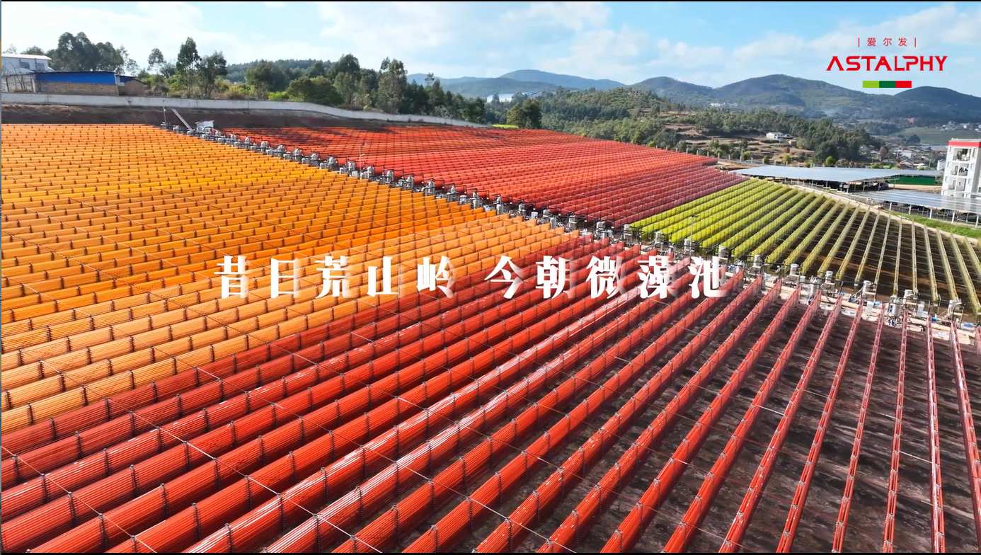 虾青素与主动健康 | 治病是最昂贵的兜底，养护才是最便宜的投资