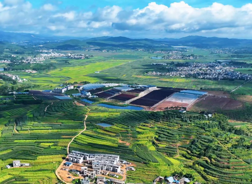全国第四 | 21℃的楚雄，一座城的康养底气与一份红色的自然馈赠